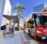 Rapid bus